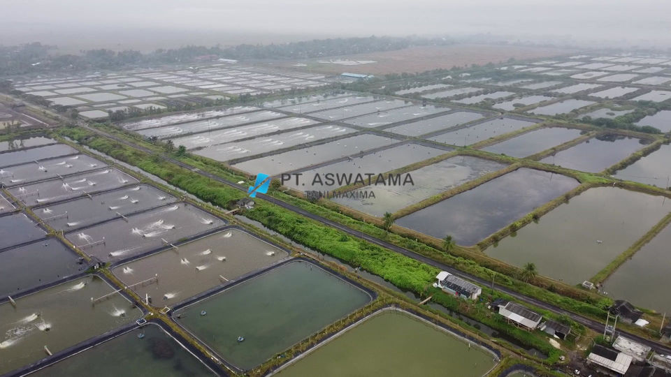 Embankment of Shrimp Documentation